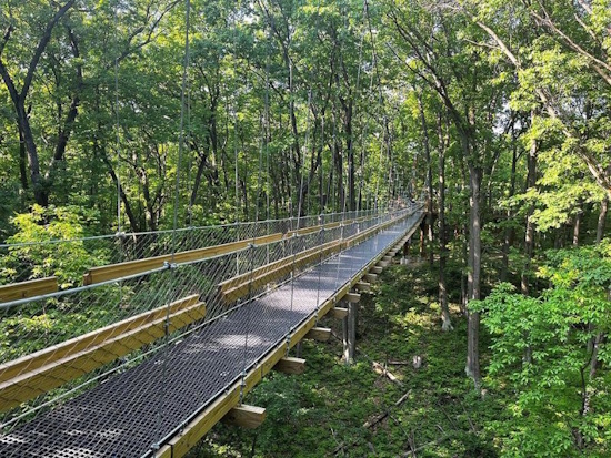 canopy bridge