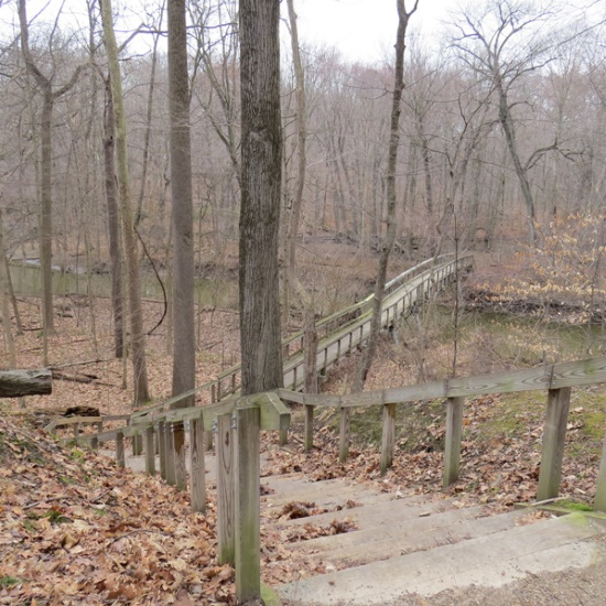 warrens woods