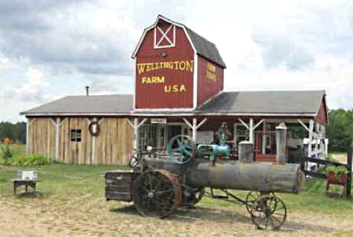 wellington farm