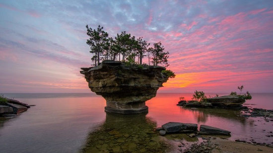 turnip rock